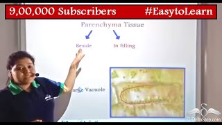 Parenchyma Tissue  Diagram  Functions  Class 9  CBSE  NCERT  ICSE [upl. by Chaves]