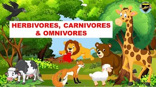 Herbivores  Carnivores  Omnivores  Types of Animals [upl. by Notserc]