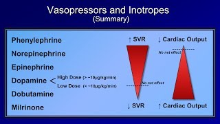 Shock Lesson 5  Pressors [upl. by Jamieson238]