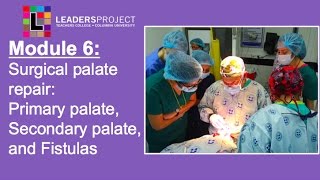 Module 31 Cleft Palate Speech and Feeding Oral Examination and Speech Sound Assessment [upl. by Eseenaj]