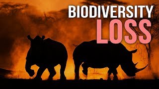 Biodiversity Loss  A Documentary [upl. by Cyrie]