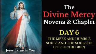 Divine Mercy Novena amp Chaplet  Day 6 [upl. by Fawna721]