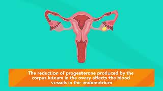 How does MIFEPRISTONE work [upl. by Nahpets]