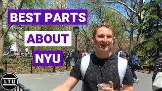 The BEST Parts About NYU  New York University  Campus Interviews  LTU [upl. by Elocel]