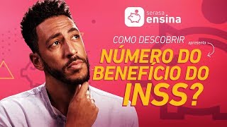 Como descobrir o número do benefício do INSS  Serasa Ensina [upl. by Roby]