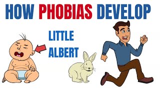 How phobias develop  What Little Albert taught us [upl. by Shulock]