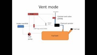 6Speeds Lectures How your EVAP system works [upl. by Jaquith742]