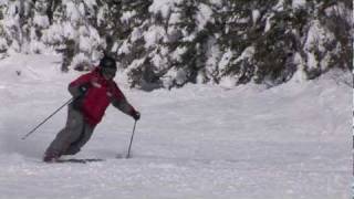 CANSI Presents Skiing Standards  Telemark [upl. by Nerral]