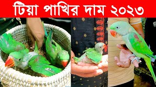 টিয়া পাখির দাম 2023  Ringneck Parrot Price In Bangladesh And India  Tia Pakhir Dam  Dhaka Pakhir [upl. by Riobard]