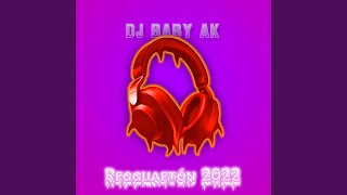 Reggaetón 2022  Dj Baby AK [upl. by Einittirb]