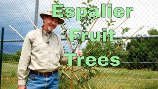 How to Espalier Fruit Trees [upl. by Lundell834]