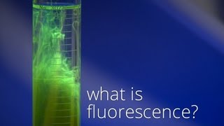 What is Fluorescence [upl. by Nyleaj]