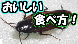 家庭に出るゴキブリのおいしい食べ方 [upl. by Sturdivant]