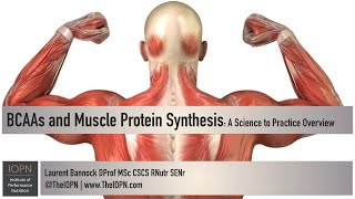 BCAAs and Muscle Protein Synthesis A Science to Practice Overview [upl. by Emmet]