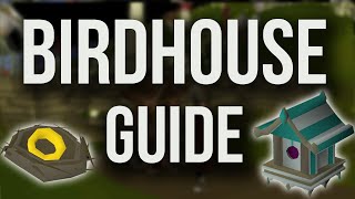 OSRS Birdhouse Guide  Example Run  COMPLETE QUICK GUIDE 2018 [upl. by Tavis]