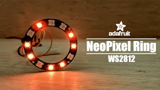 Getting Started with RGB NeoPixels WS2812B [upl. by Rachael928]