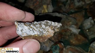 How To Find Gold amp Mineral Deposits [upl. by Esiralc703]