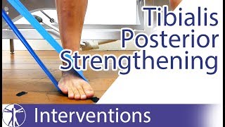 Tibialis Posterior Strengthening  Flat Feet Exercise [upl. by Moule]