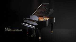 Discover the C Bechstein Concert B 212 [upl. by Arammat]