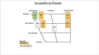 Les voyelles phonétiques du français [upl. by Eiramanna]