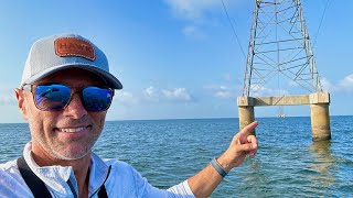 These Power Lines LOADED With Fish [upl. by Raine]