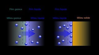 Absorption vs Adsorption 【4K】 [upl. by Ecyrb304]