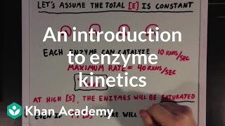 An introduction to enzyme kinetics  Chemical Processes  MCAT  Khan Academy [upl. by Gina]