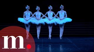 Swan Lake Tchaikovsky  Dance of the Little Swans [upl. by Caspar]