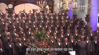 Een Koninklijk kindCWM De Gouwestem olv Martin Mans 2014 [upl. by Chastity]