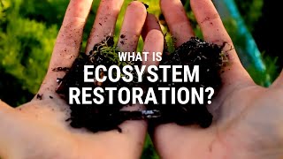 What is ecosystem restoration [upl. by Inalak]