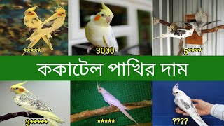 ককাটেল পাখির দাম  Cockatiel Bird Price In Bangladesh and India [upl. by Ordnaxela]