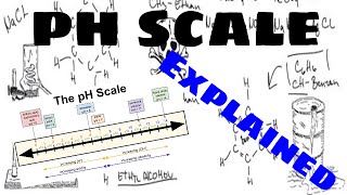 The pH Scale Explained [upl. by Guillemette240]