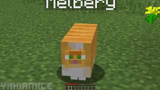 i made a resource pack that makes minecraft cats obese [upl. by Mcnully192]