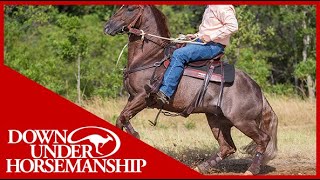 Clinton Anderson Handling a Rearing Horse  Downunder Horsemanship [upl. by Marka]