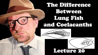 Lecture 20 The Difference between Lung Fish and Coelacanths [upl. by Laehctim859]