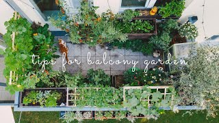 28 Essential Tips for Starting a Balcony Vegetable Garden  Urban Gardening [upl. by Charil]