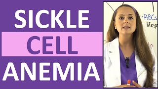 Sickle Cell Anemia Nursing  Symptoms Pathophysiology Sickle Cell Crisis amp Trait [upl. by Ilajna604]