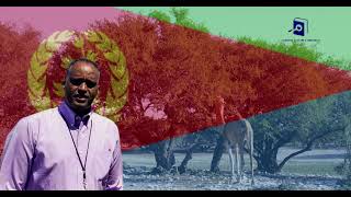 ኣልጌና ባህልን ምርምርን Algena Culture amp Research [upl. by Lletniuq148]