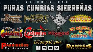 Puras Cumbias Sierreñas En Vivo Vol1  El Compa Lichu DISCO COMPLETO [upl. by Netsirhc]