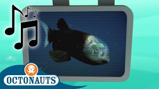 Octonauts  Spook Fish  Cartoons for Kids  Creature Reports [upl. by Atsira830]