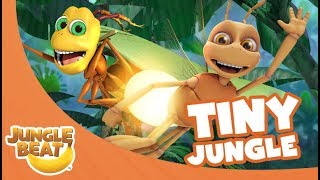 Tiny Jungle  Jungle Beat Compilation Full Episodes [upl. by Maze]