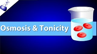 Osmosis and Tonicity [upl. by Cassi828]