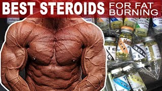 The Best Steroids For Burning Fat [upl. by Nahej]