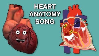 HEART ANATOMY SONG [upl. by Nodlew]