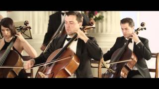 Vivaldi The Four Seasons Summer LEstate 3rd movement [upl. by Giusto]