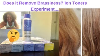 Does it Remove Brass Ion Brilliance Toners Experiment [upl. by Aenit]