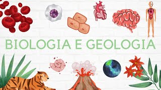 8 Geologia 10º ano  Sismologia 🌎 [upl. by Merrile167]