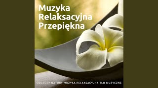 Muzyka Relaksacyjna Różne Style i Rodzaje [upl. by Engelbert]