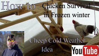 Chicken Survival in Frozen winter in Northern Wisconsin Great Cold Weather Coop [upl. by Naruq]