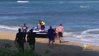 Deadly Shark Attack In Maui [upl. by Brost]